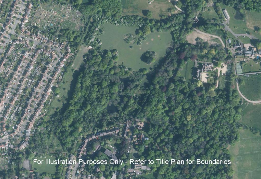 Lot: 24 - WOODLAND EXTENDING TO APPROXIMATELY 10 ACRES - 